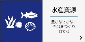 水産資源